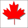 Канада изучение английского языка - путь получения вида на жительство в Канаде