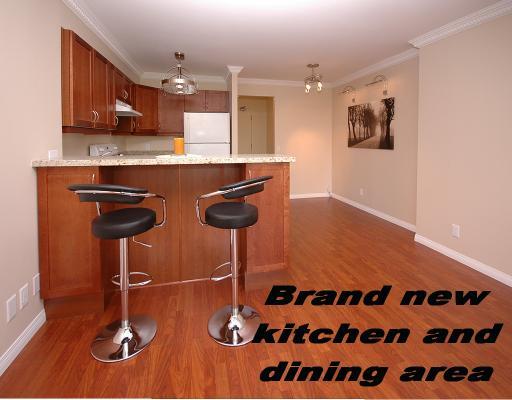 Vancouver Real Estate, 2 bedroom apartment, brand new kitchen and living room