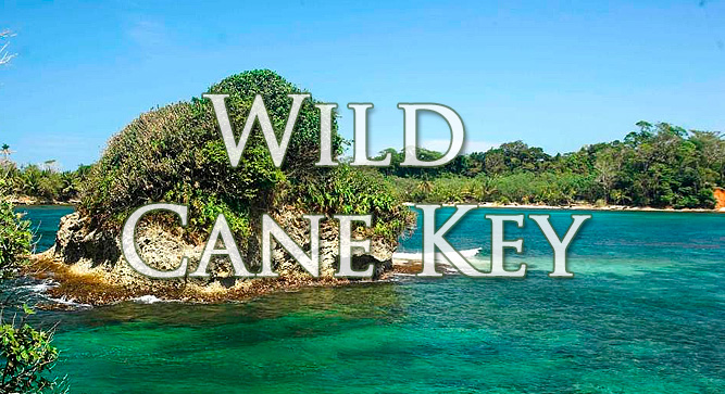 Остров Уайлд Кен Кей (Wild Cane Key)