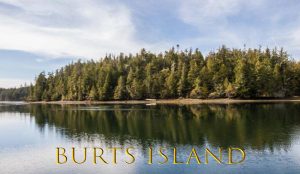Продается остров Остров Бёртс (Burts Island)