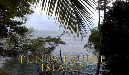 Остров Пунта Лаурель (PUNTA LAUREL ISLAND) за $300,000 USD